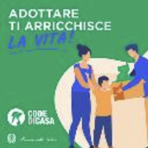adottare ti arricchisce